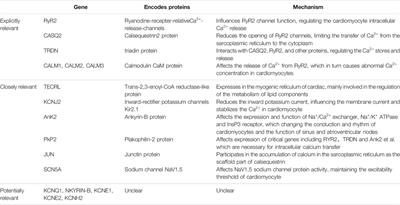 Advances in the Molecular Genetics of Catecholaminergic Polymorphic Ventricular Tachycardia